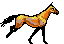 bayrun.gif